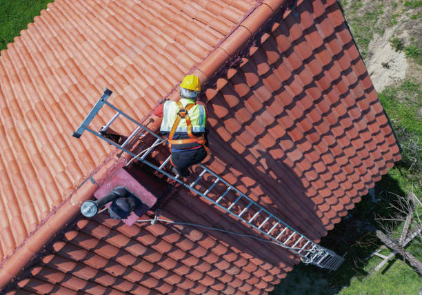 Best Roof Moss and Algae Removal  in Chouteau, OK